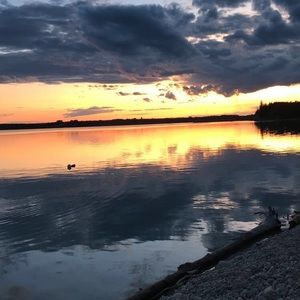 Meet your Posher, Joel